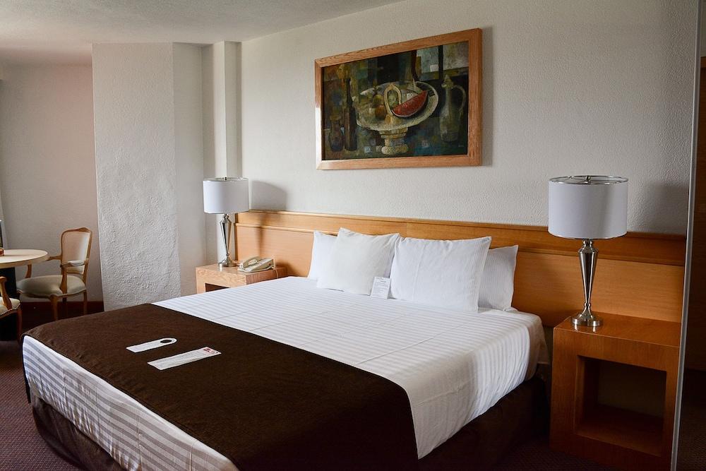 Hotel Laffayette Ejecutivo グアダラハラ エクステリア 写真